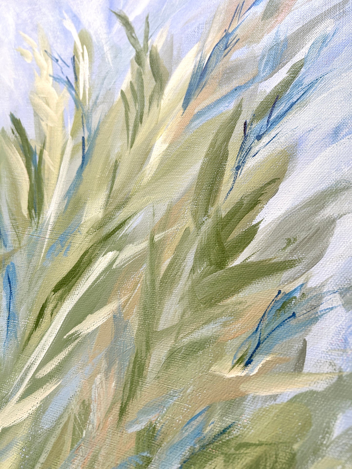 Field of Grace
