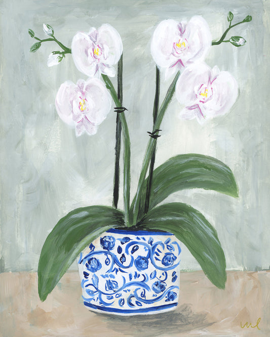 Fine Art Giclée Print of Orchid Study 1