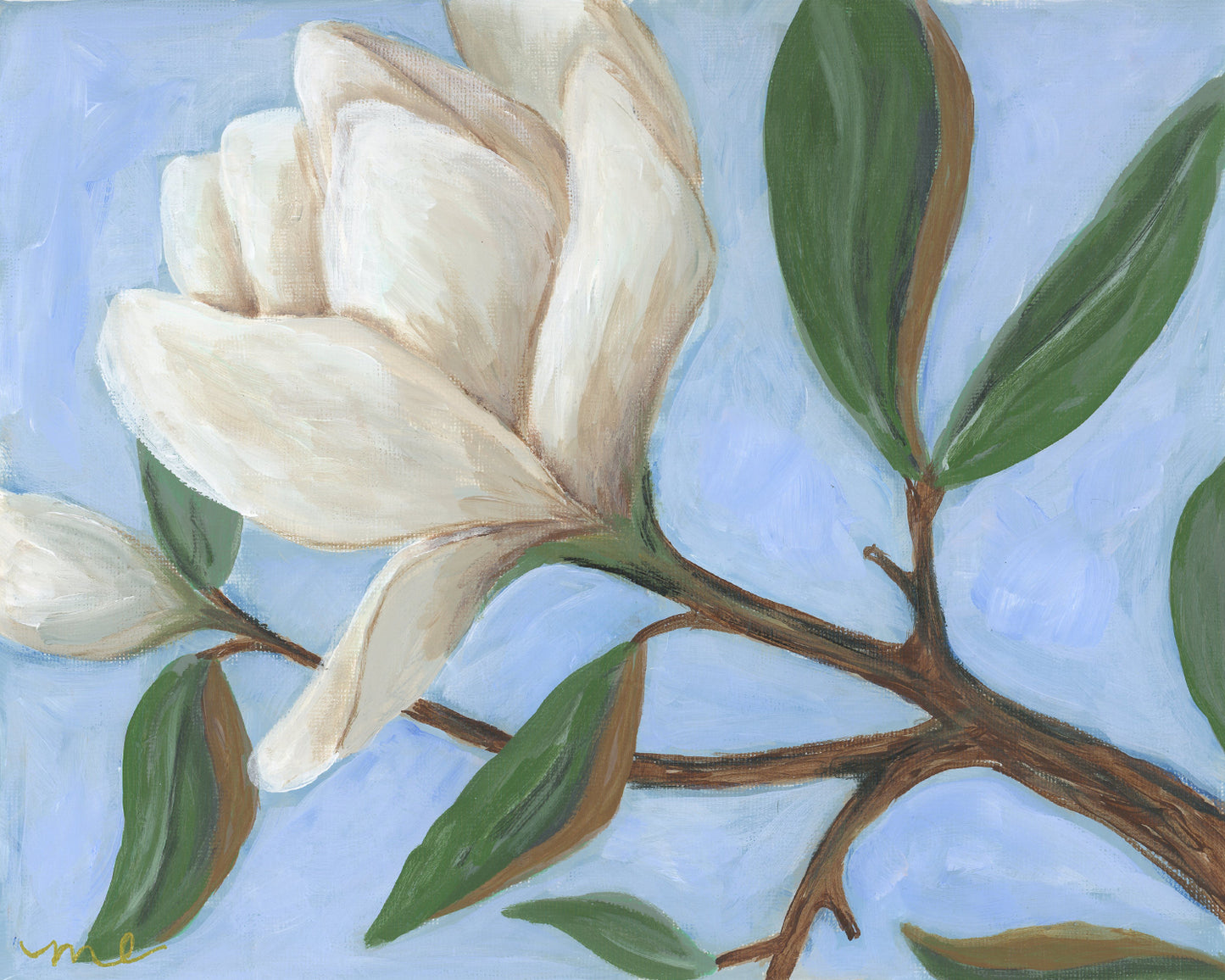 Magnolia Study 1