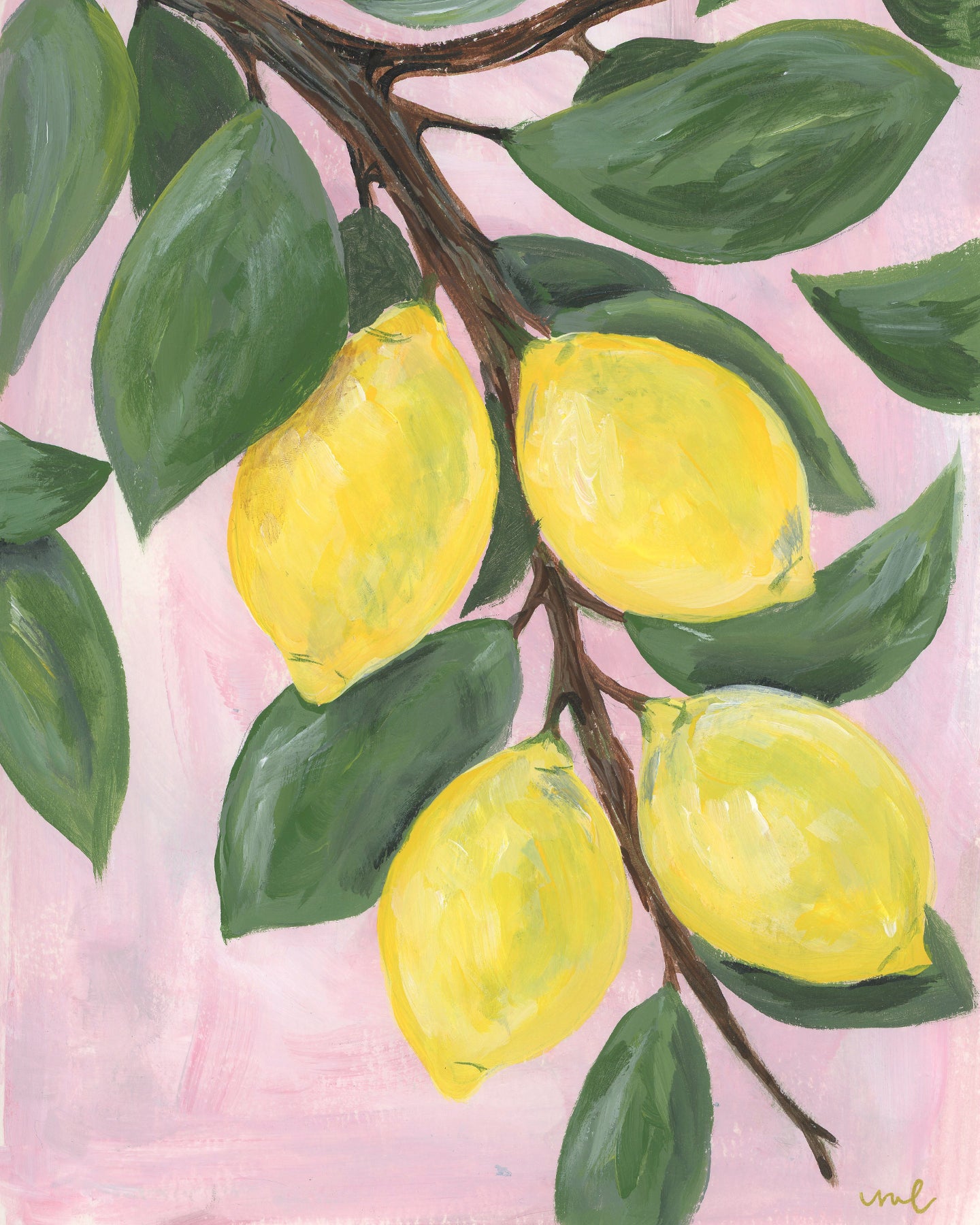 Fine Art Giclée Print of Citrus Study 2