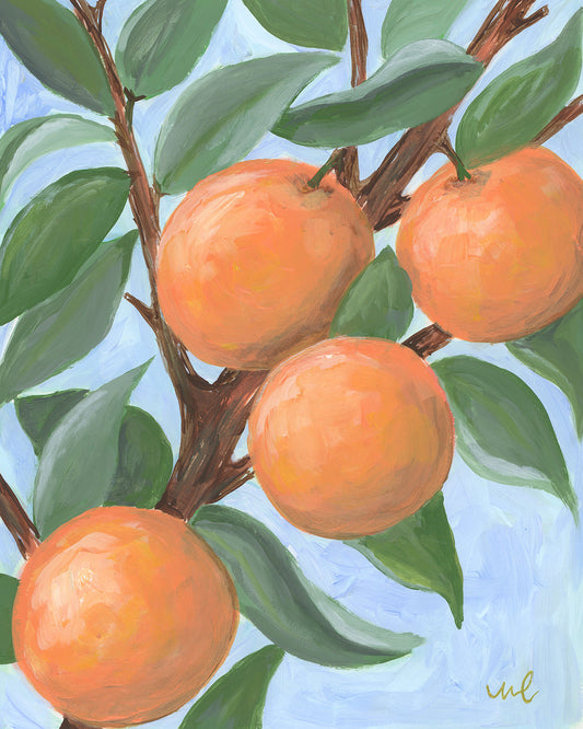 Fine Art Giclée Print of Citrus Study 1
