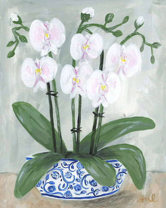 Fine Art Giclée Print of Orchid Study 3